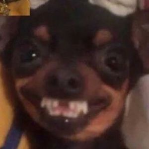 Meet your Posher, Kelli